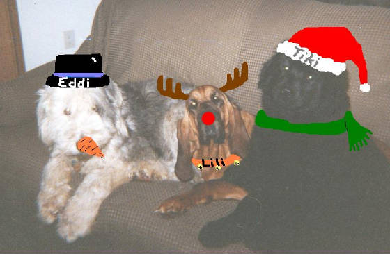 xmasdogs.jpg